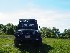 Jeep On Flagpole Knob